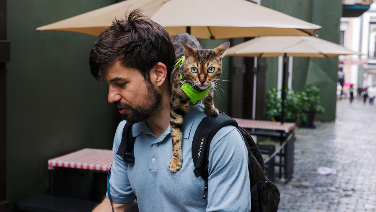 Man with a cat on his shoulder in an urban setting