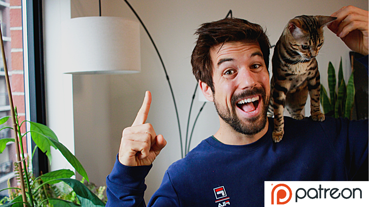 Support Albert and Mia the Bengal Cat on Patreon