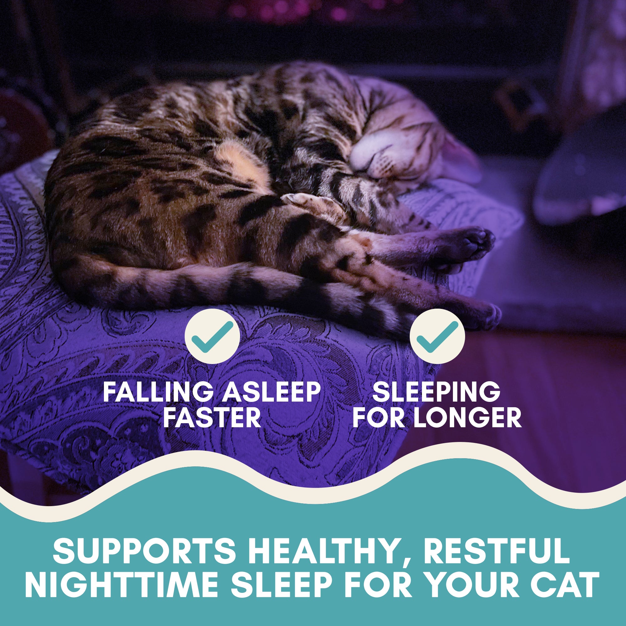 Cat sleeping on a purple blanket with text about sleep support for cats.
