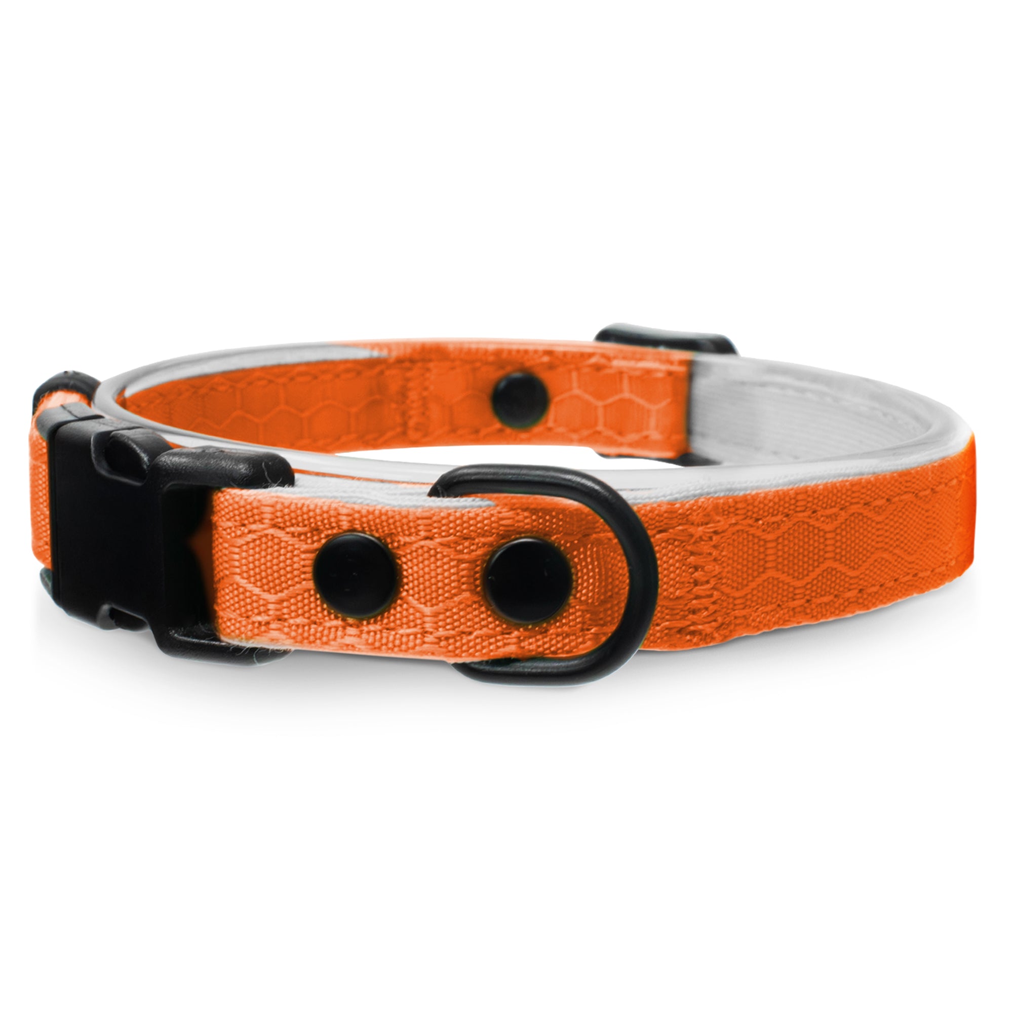 Durable Break-Away Cat Collar