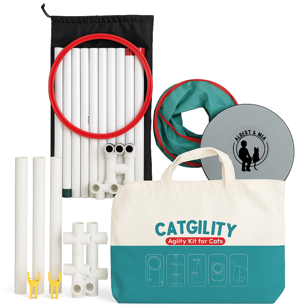 Cat agility kit with various components and a carrying bag labeled 'CATGLITY'.