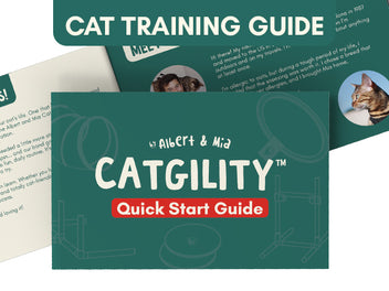 Cat Agility Kit — 7 Obstacle Indoor Course | Catgility™ – OutdoorBengal