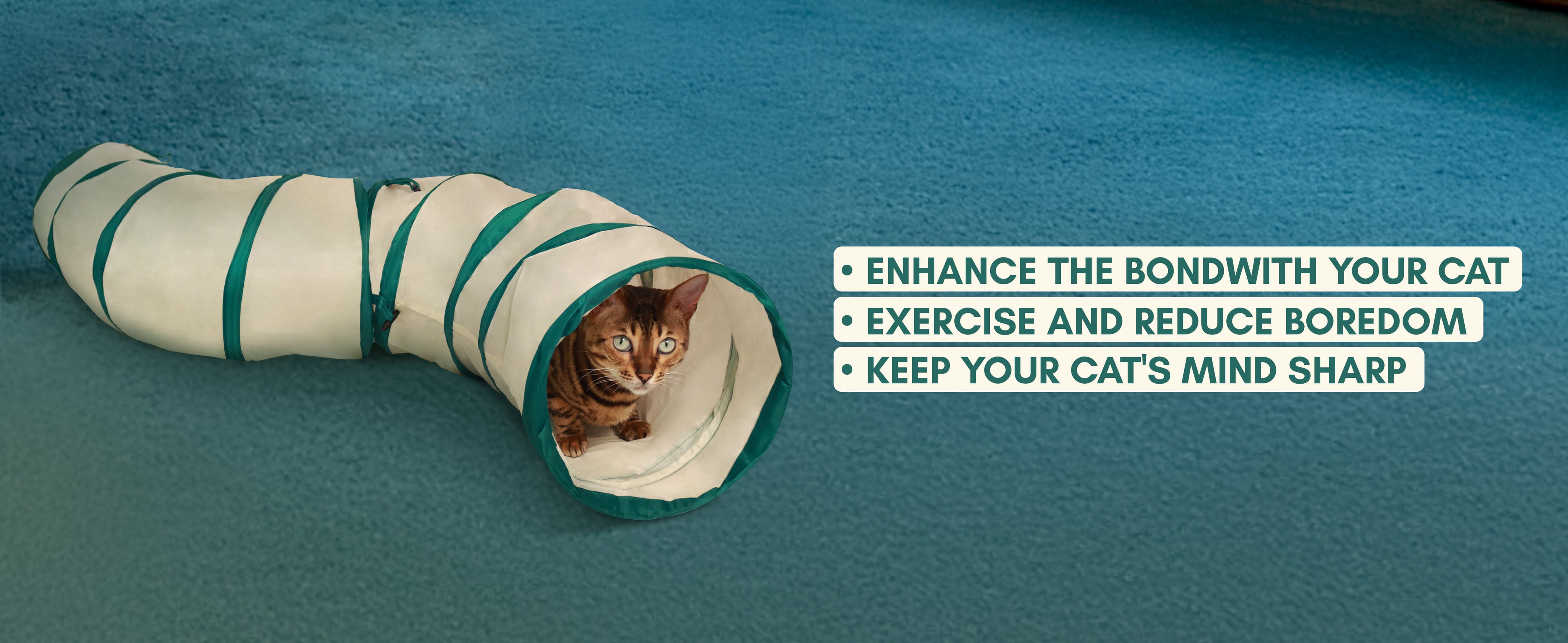 Cat playing with a striped tunnel on a blue background with text about cat care.