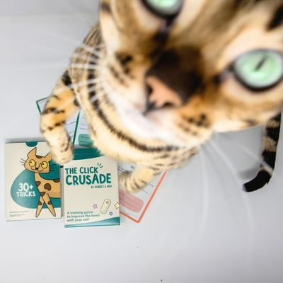 The Click Crusade - Cat Training Card Game