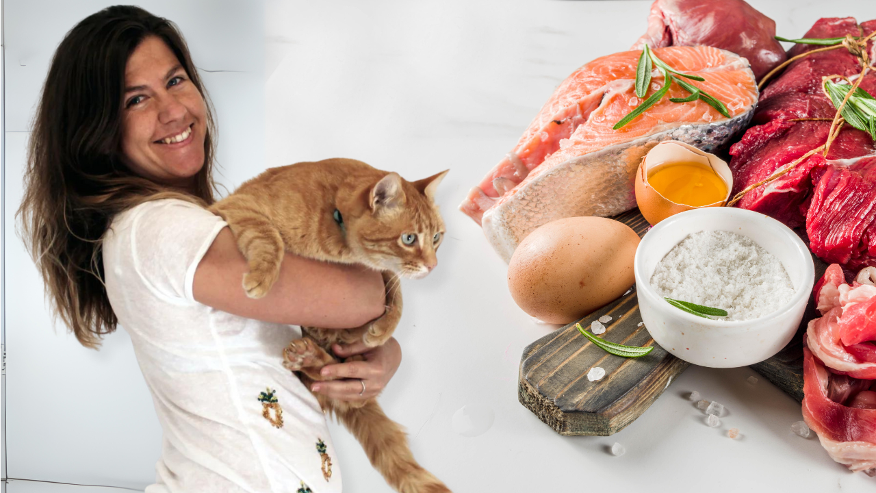 Cat Nutrition Consultation
