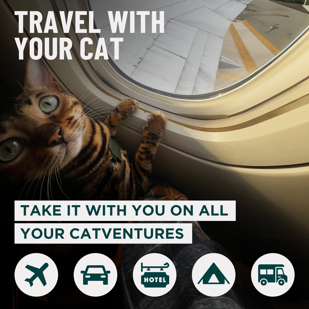 Zeppelin Cat Carrier + Go Litter Box Kit