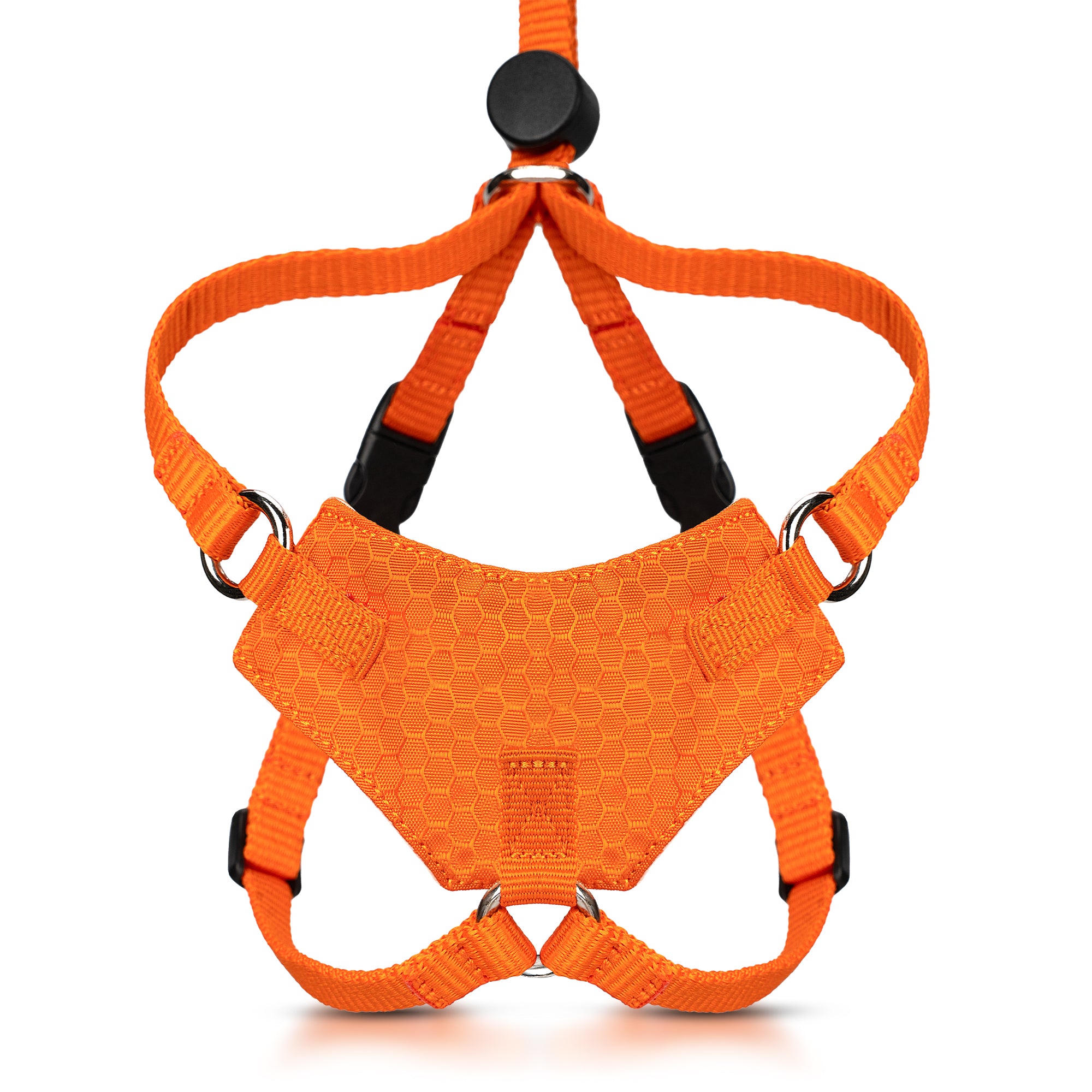 Orange escape-proof cat harness with black hardware on a white background