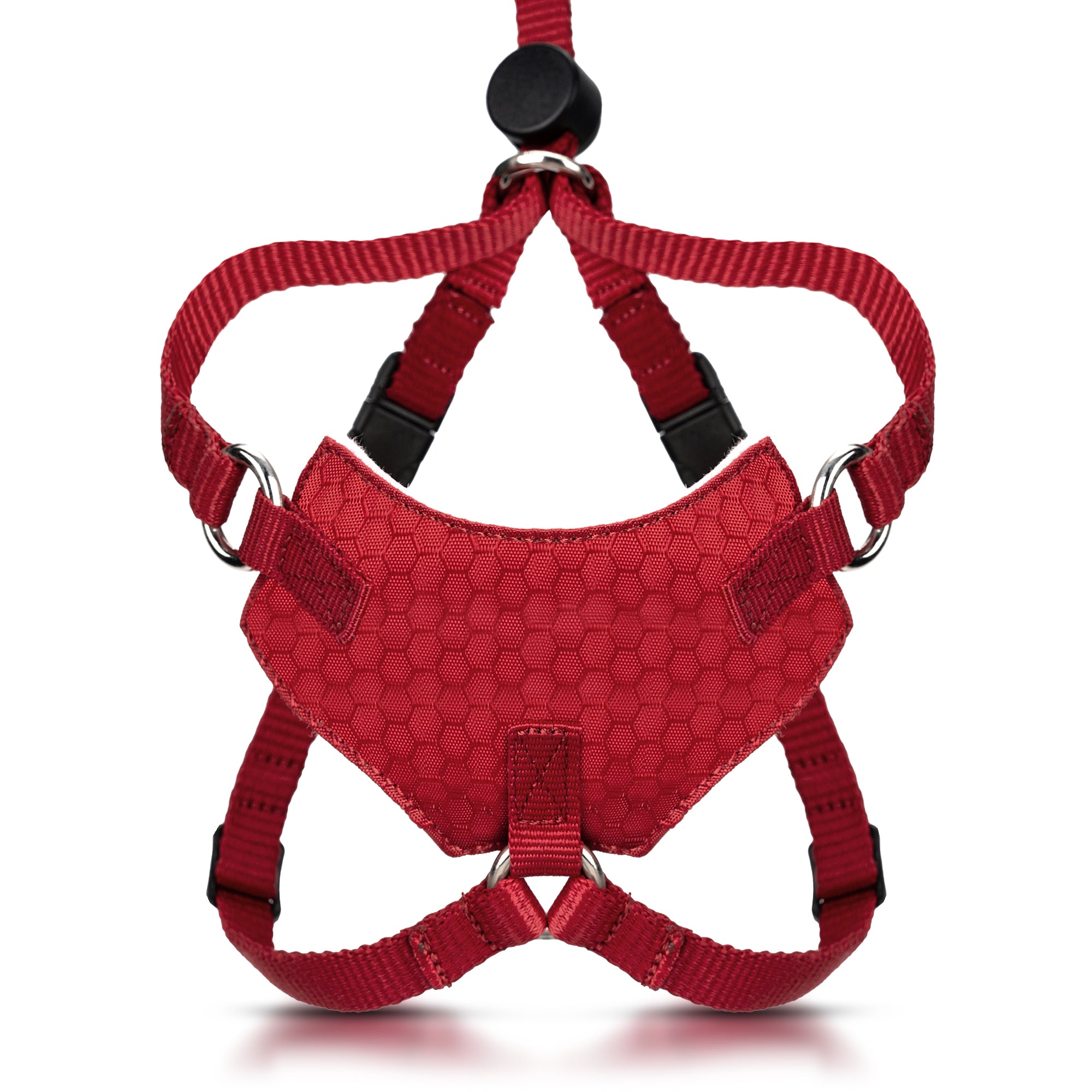 Red escape-proof cat harness with black hardware on a white background