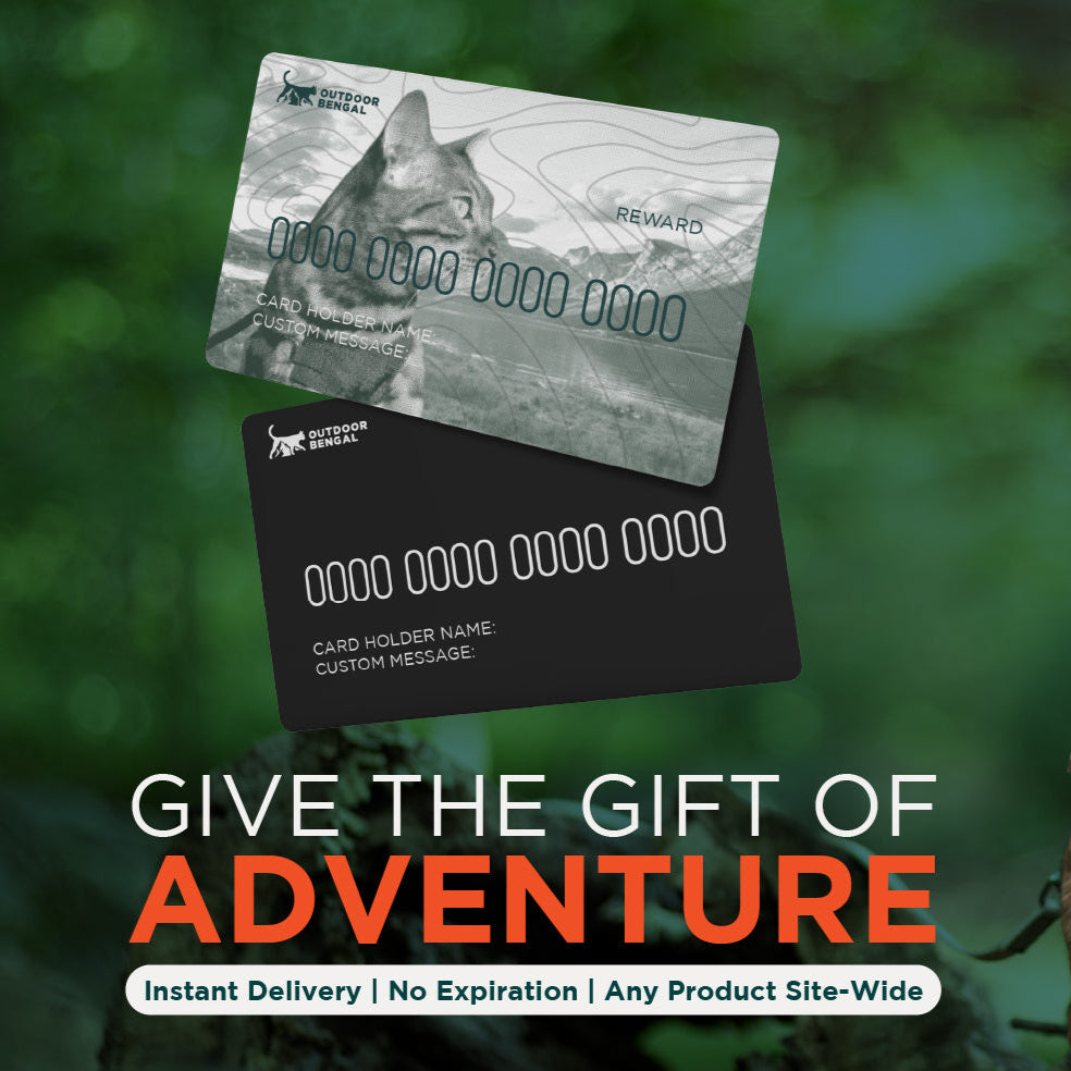 Cat wearing a green harness with a promotional card for 'Give the Gift of Adventure' on a blurred green background.