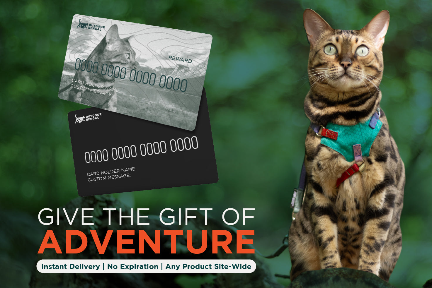 Cat wearing a green harness with a promotional card for 'Give the Gift of Adventure' on a blurred green background.