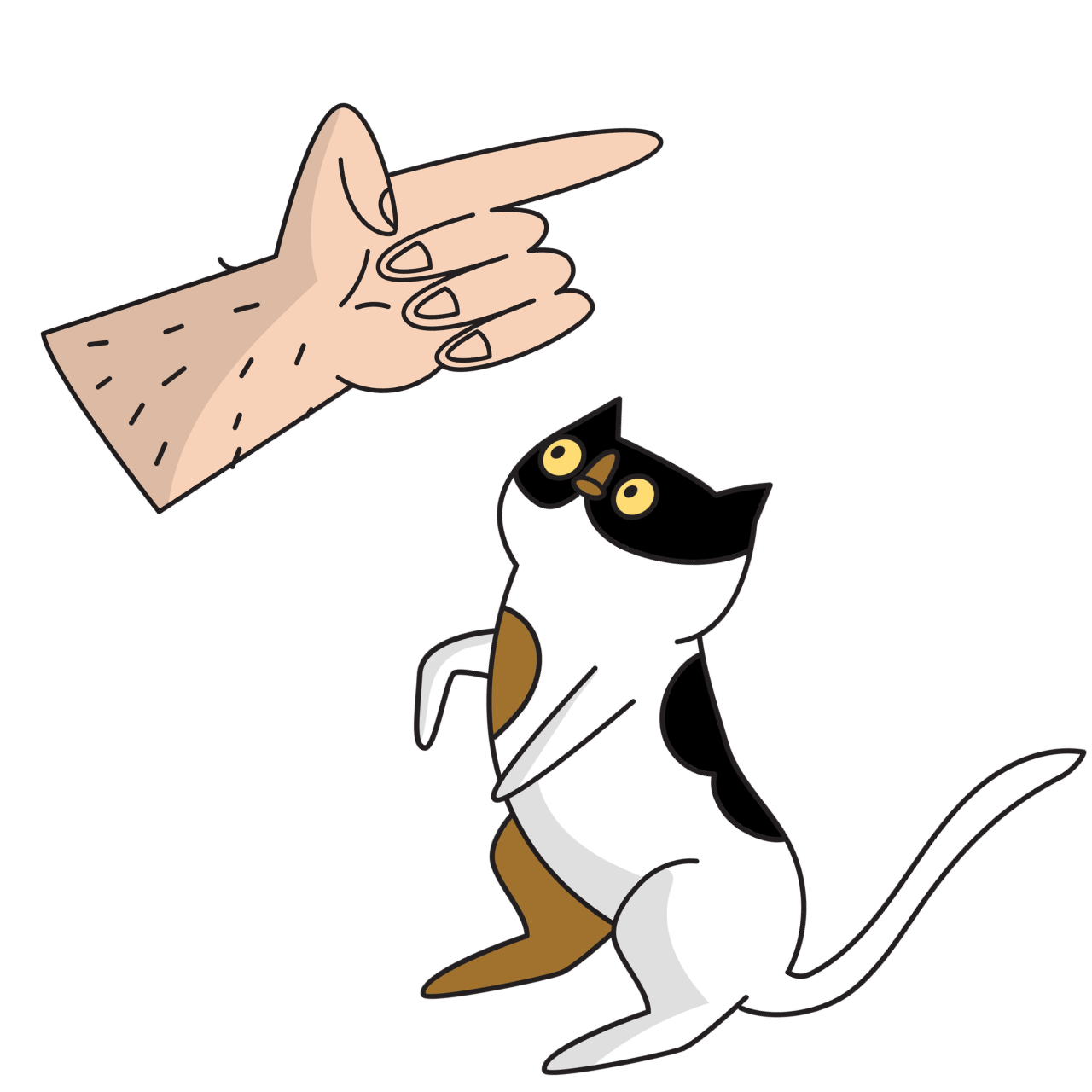 Finger pointing up and a cat sitting
