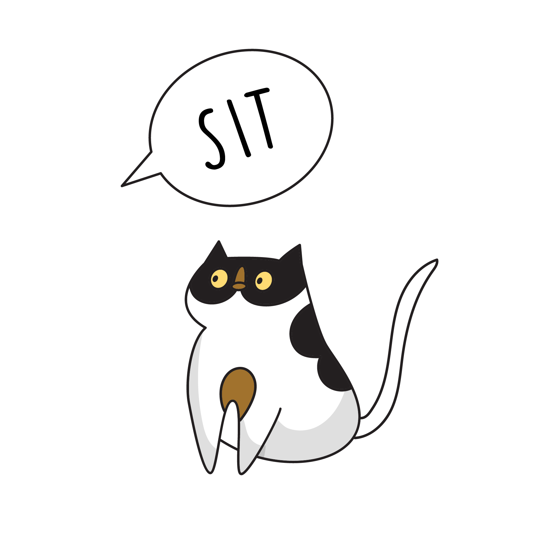 Cat sitting on command