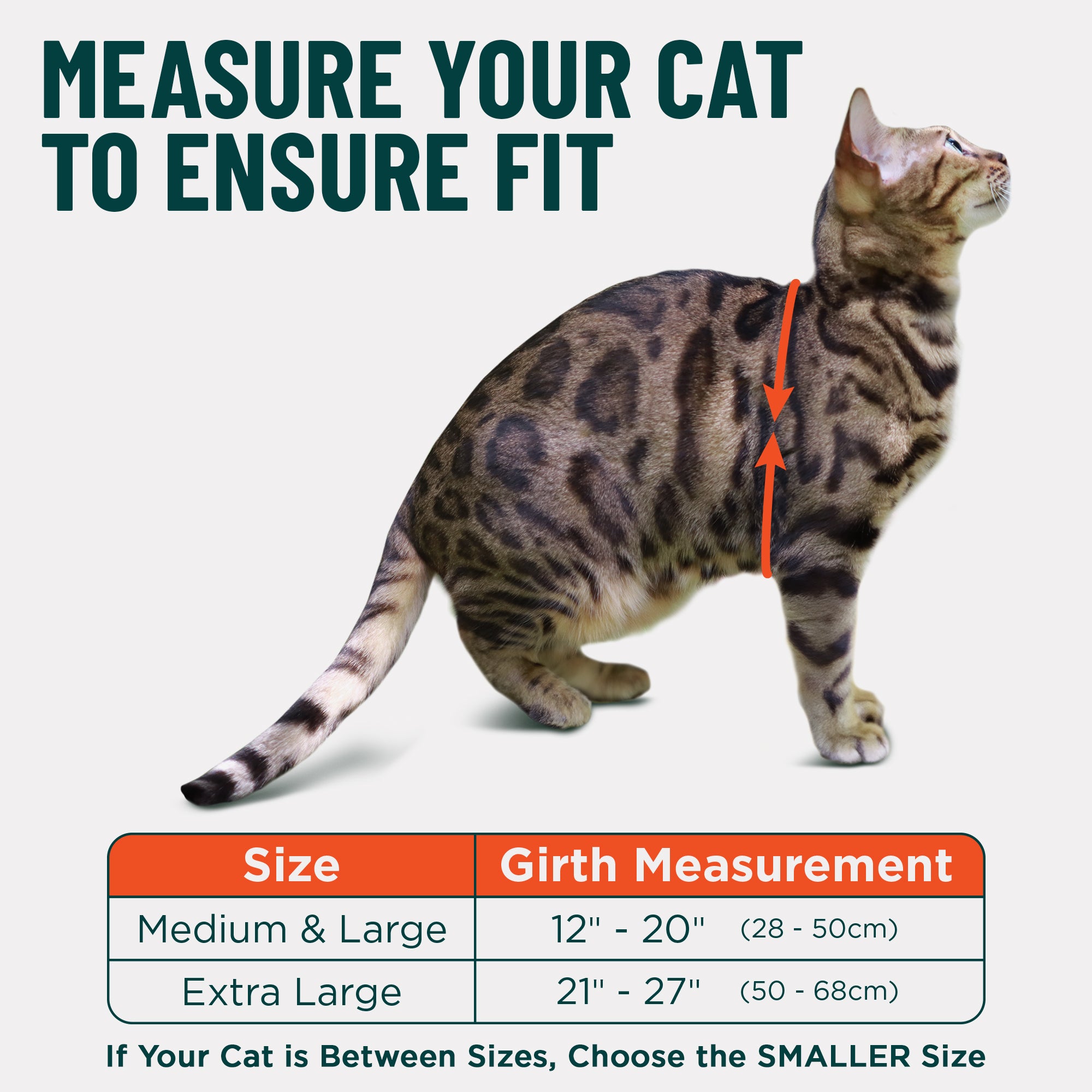 Always On™ Martingale Cat Harness