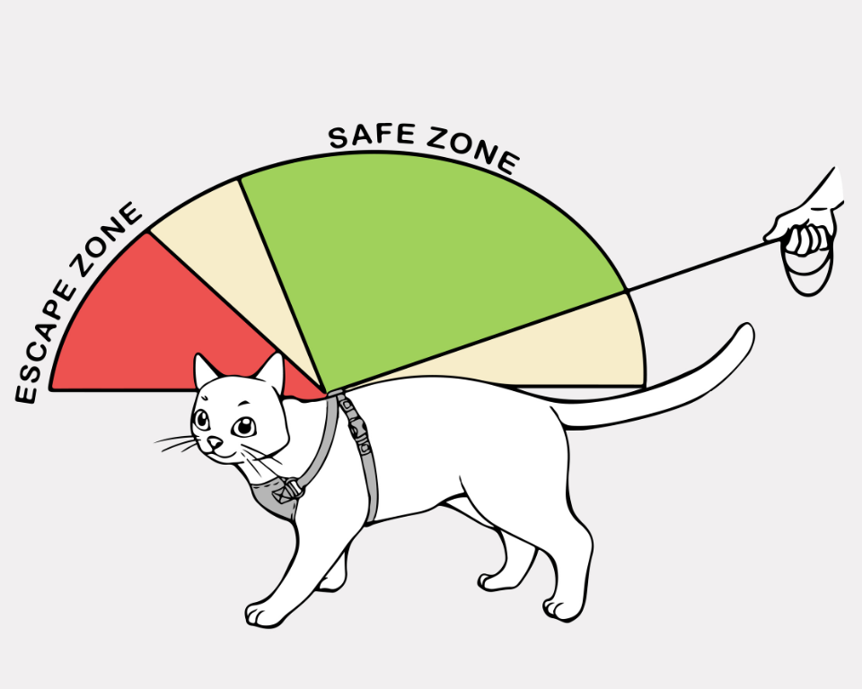 A diagram showing how to prevent a cat escaping the harnesss
