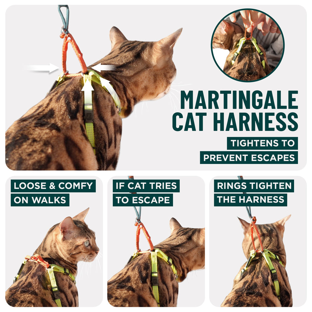 Always On™ Martingale Cat Harness - OutdoorBengal