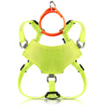 Always On™ Martingale Cat Harness - OutdoorBengal