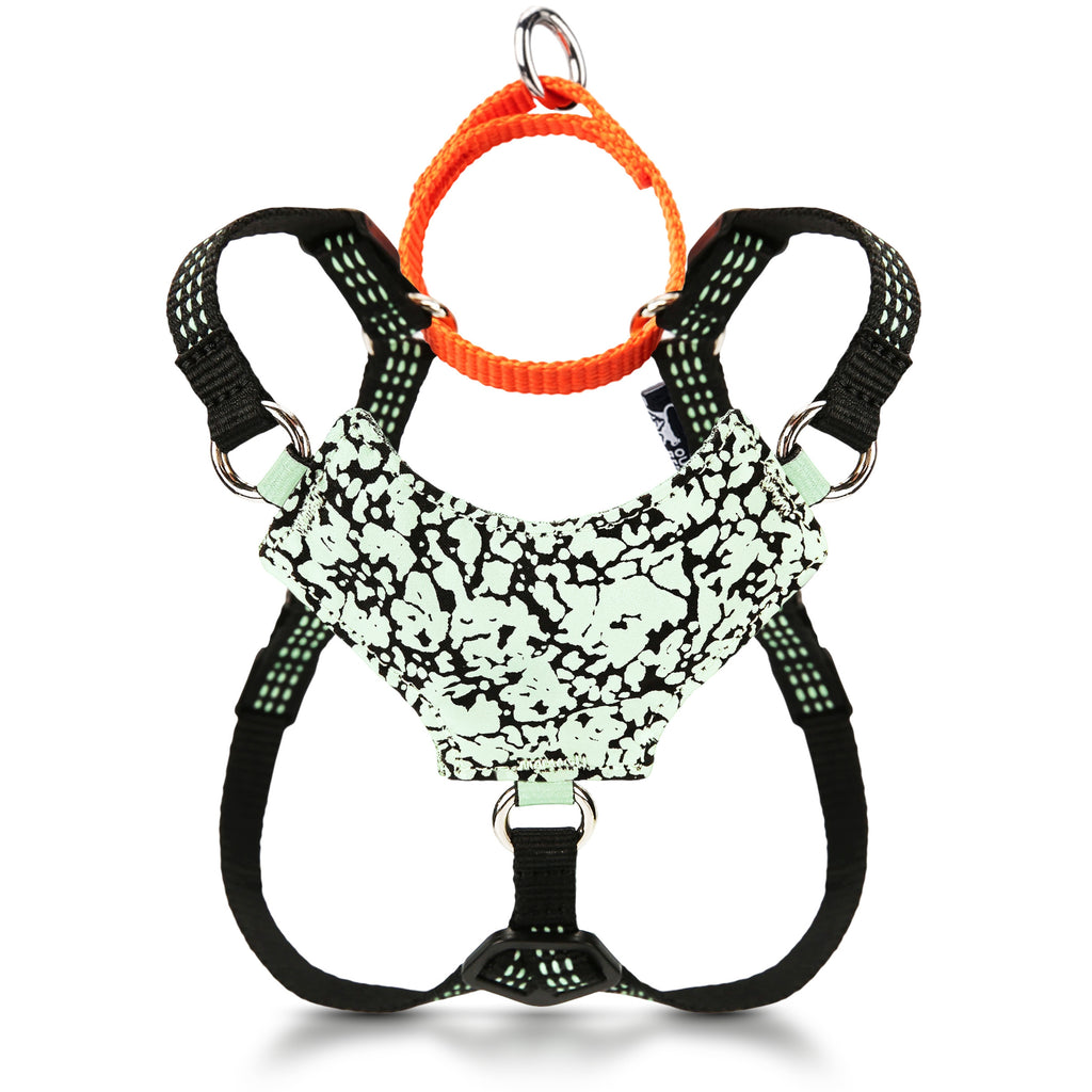 Always On™ Martingale Cat Harness - OutdoorBengal