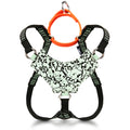 Always On™ Martingale Cat Harness - OutdoorBengal
