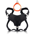 Always On™ Martingale Cat Harness - OutdoorBengal