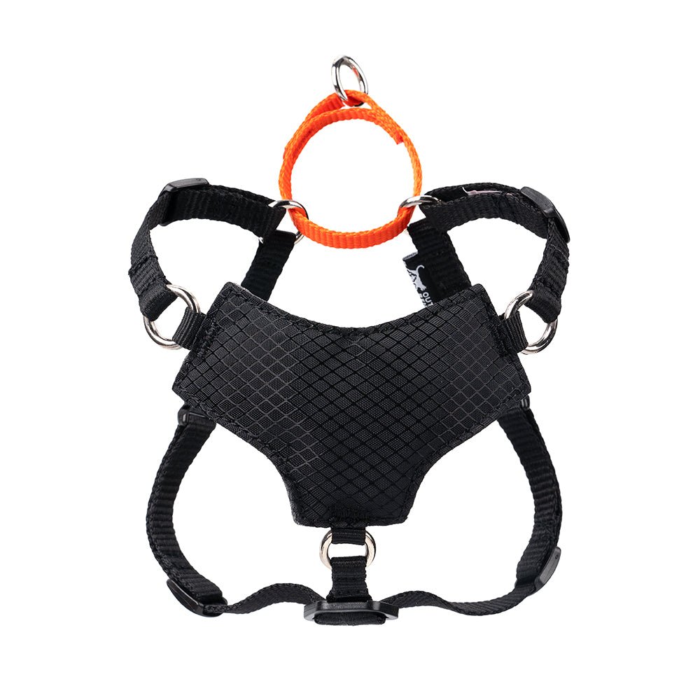 Always On™ Martingale Cat Harness - OutdoorBengal