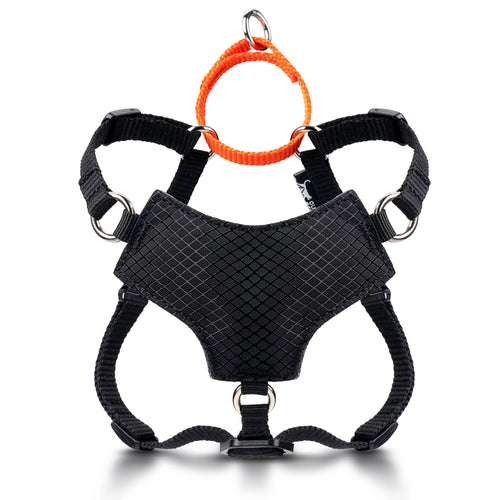 Always On™ Martingale Cat Harness - OutdoorBengal