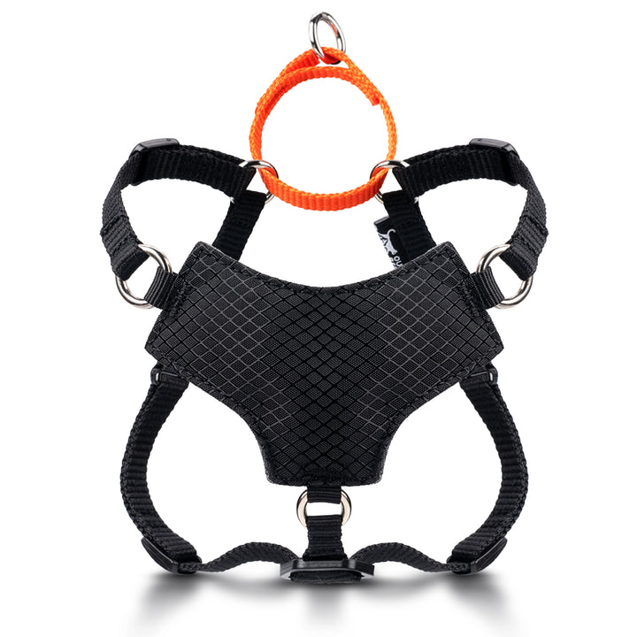 Always On™ Martingale Cat Harness