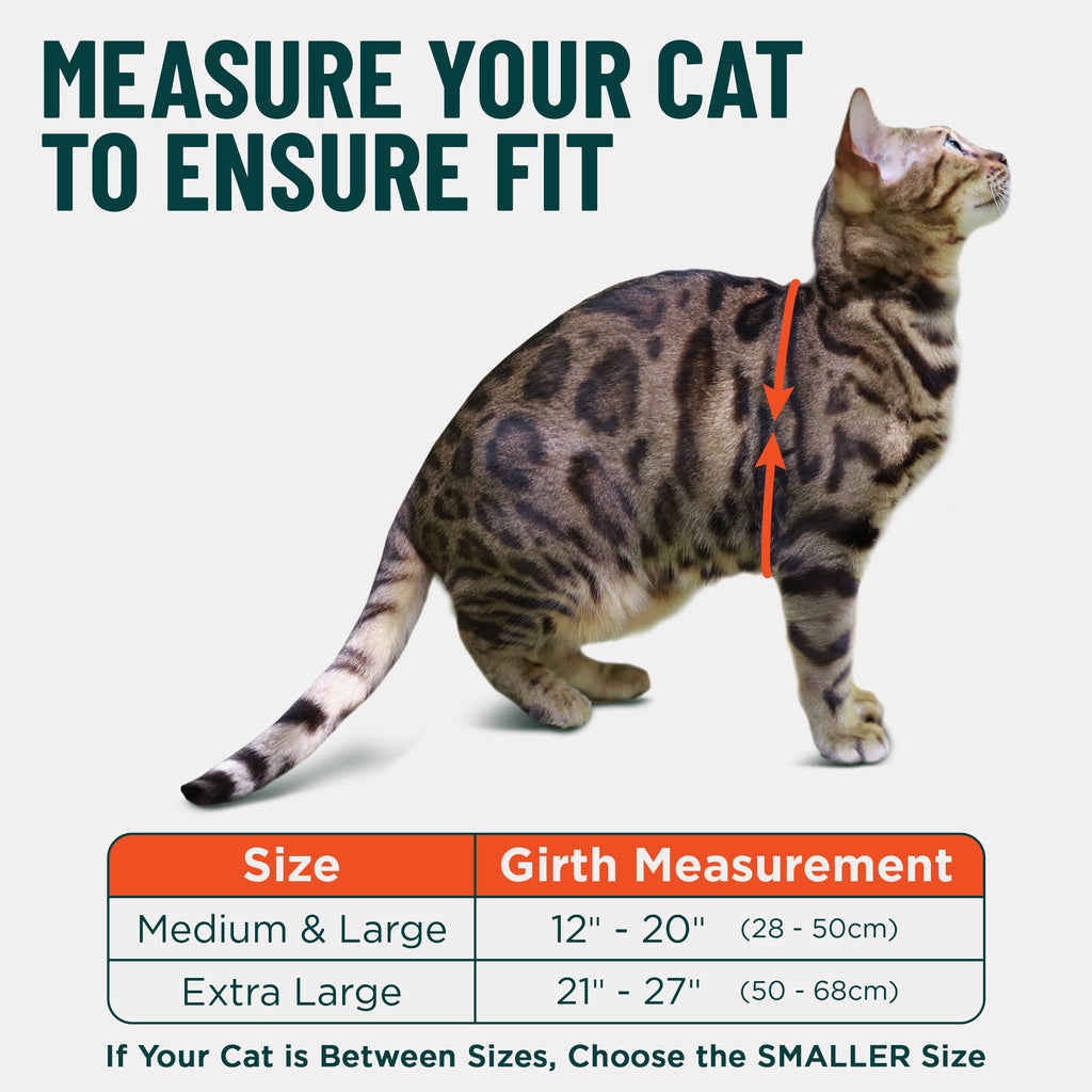 Always On™ Martingale Cat Harness - OutdoorBengal