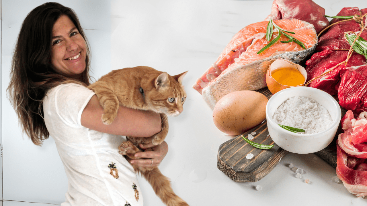Cat Nutrition Consultation - OutdoorBengal