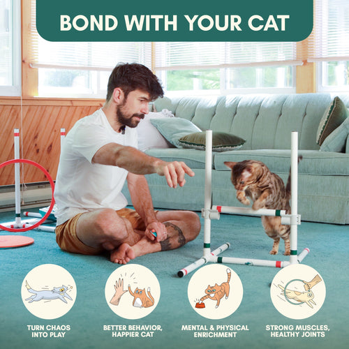 Catgility™ Agility Kit for Cats - OutdoorBengal