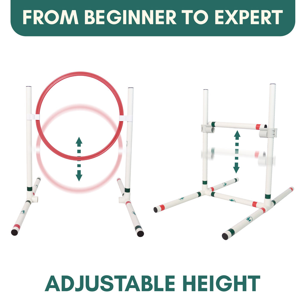 Catgility™ Agility Kit for Cats - OutdoorBengal
