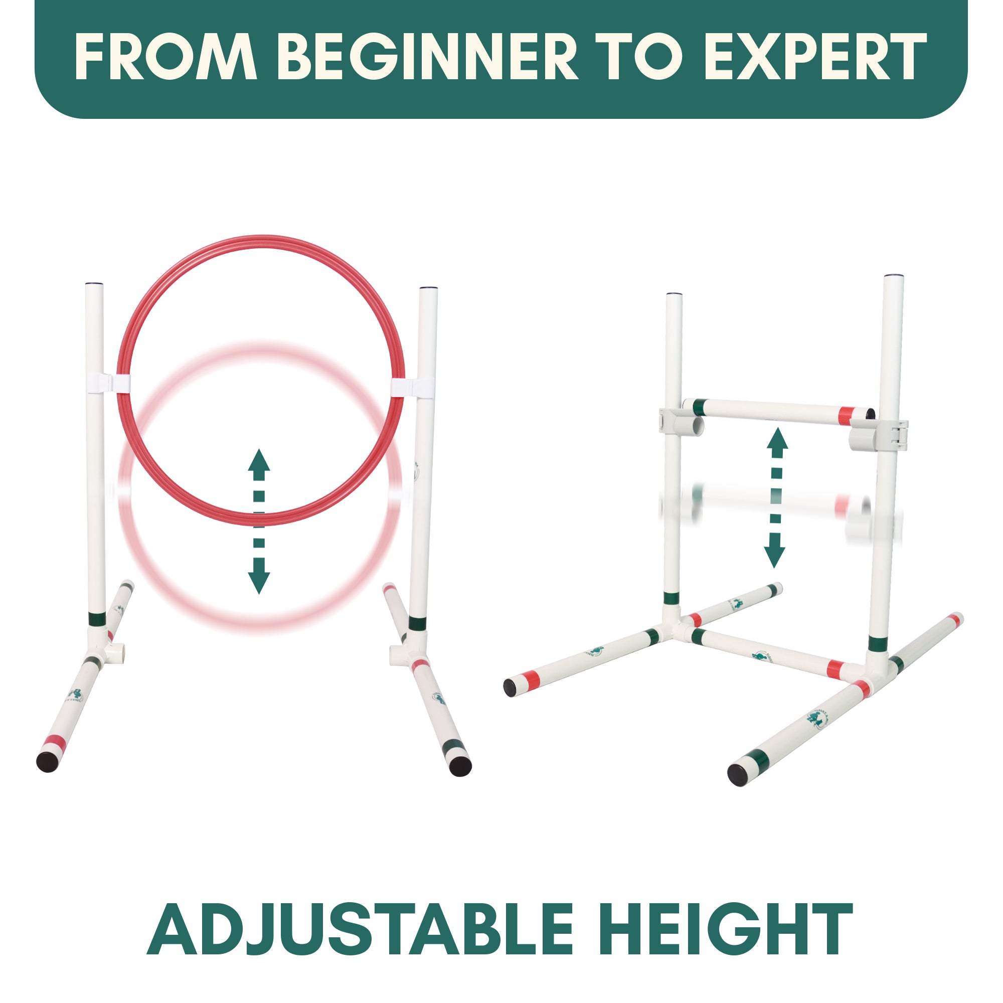 Catgility™ Agility Kit for Cats - OutdoorBengal