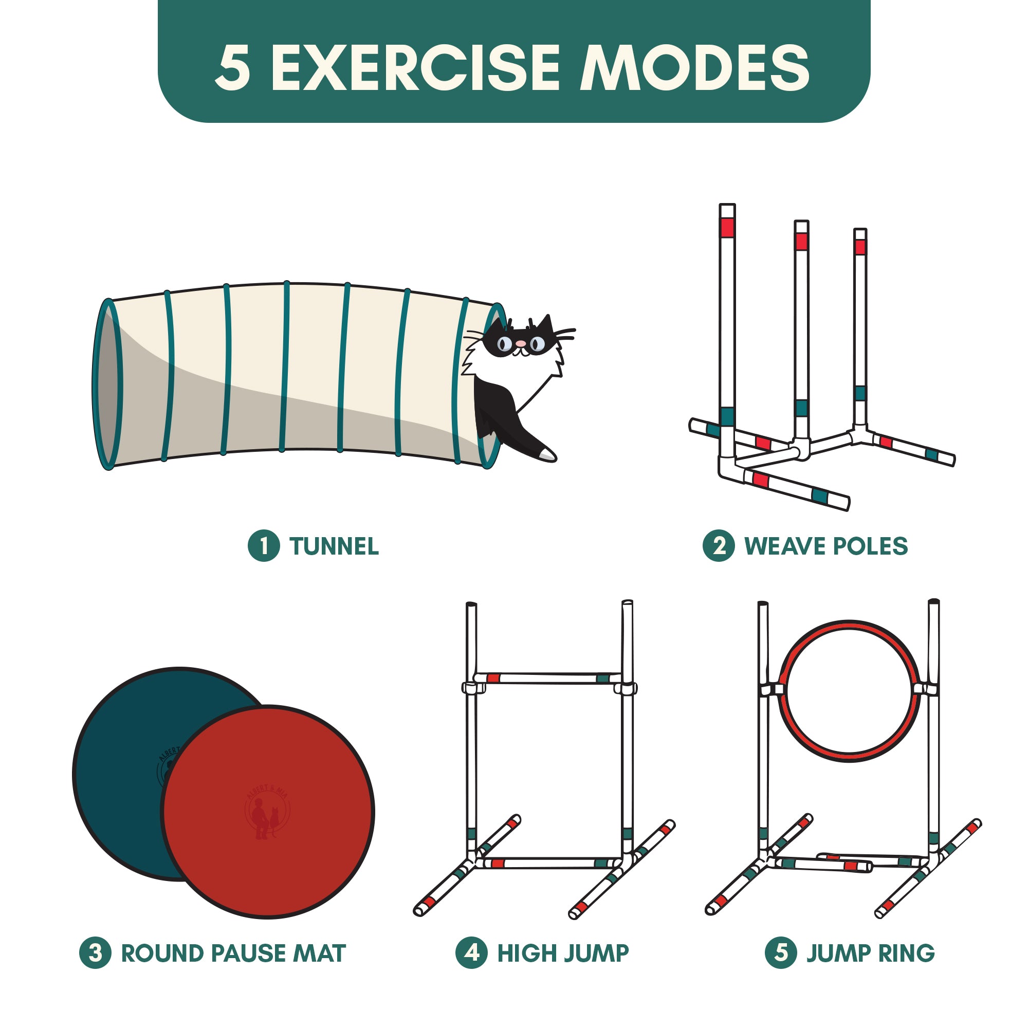 Catgility™ Agility Kit for Cats - OutdoorBengal