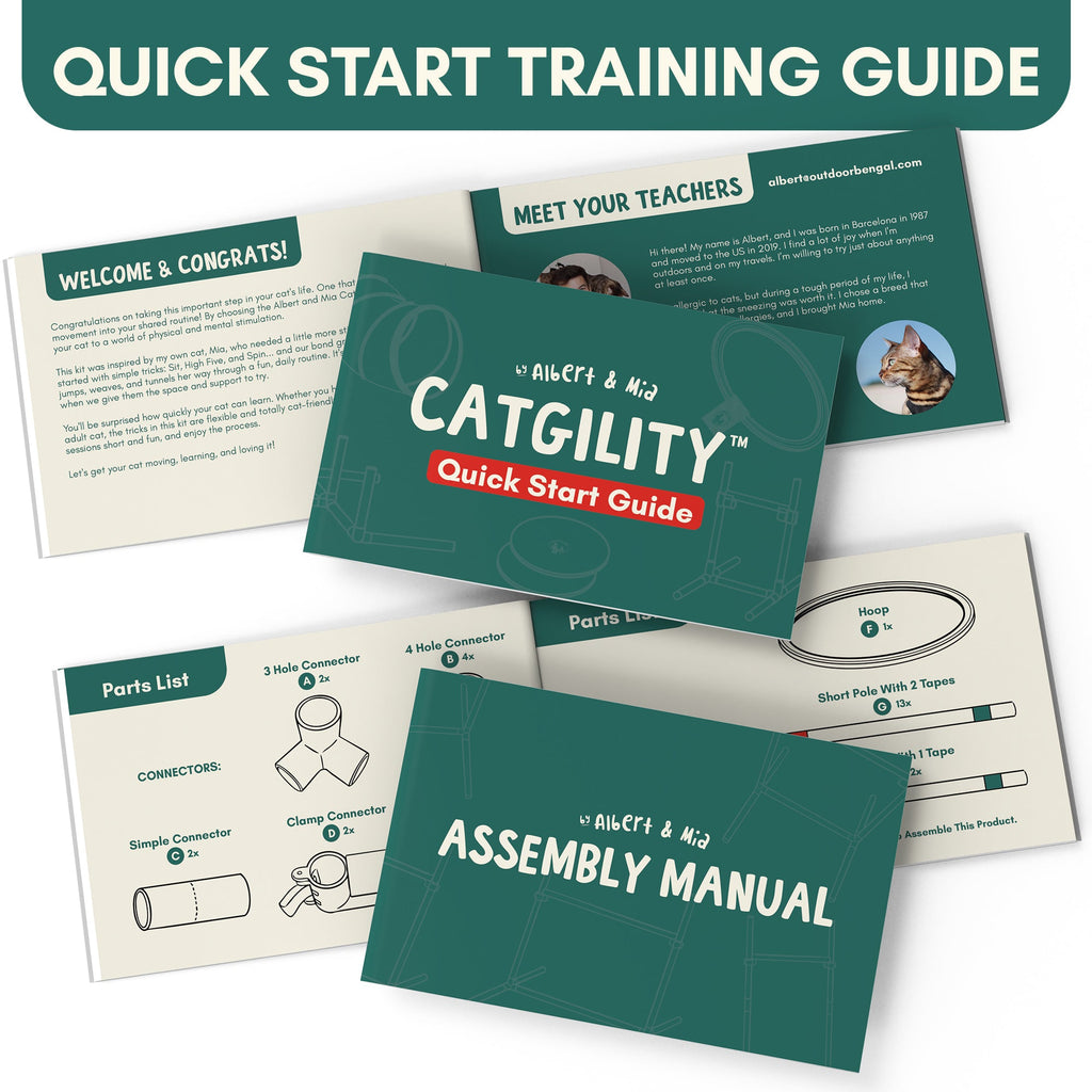 Cat Agility Kit — 7 Obstacle Indoor Course | Catgility™ – OutdoorBengal