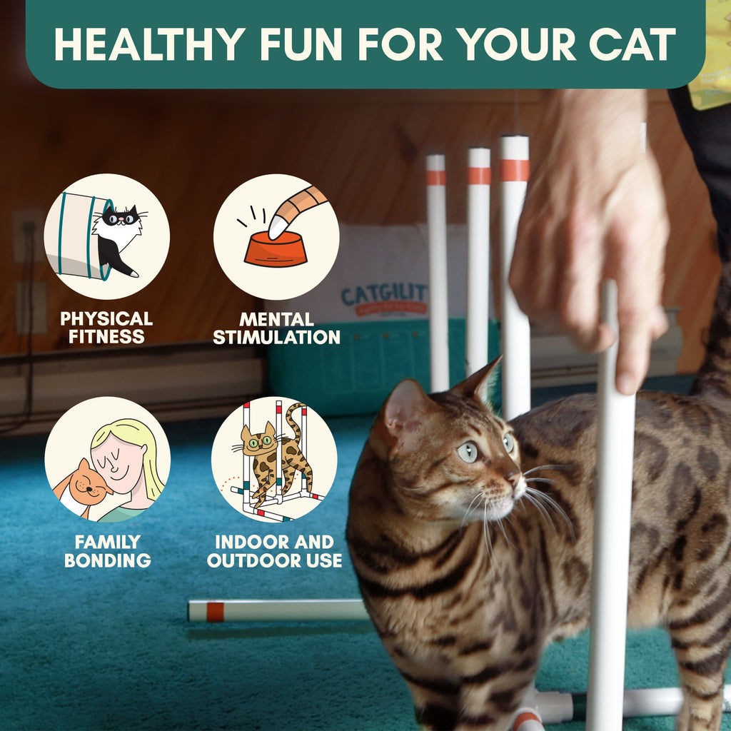 Catgility™ Agility Kit for Cats - OutdoorBengal