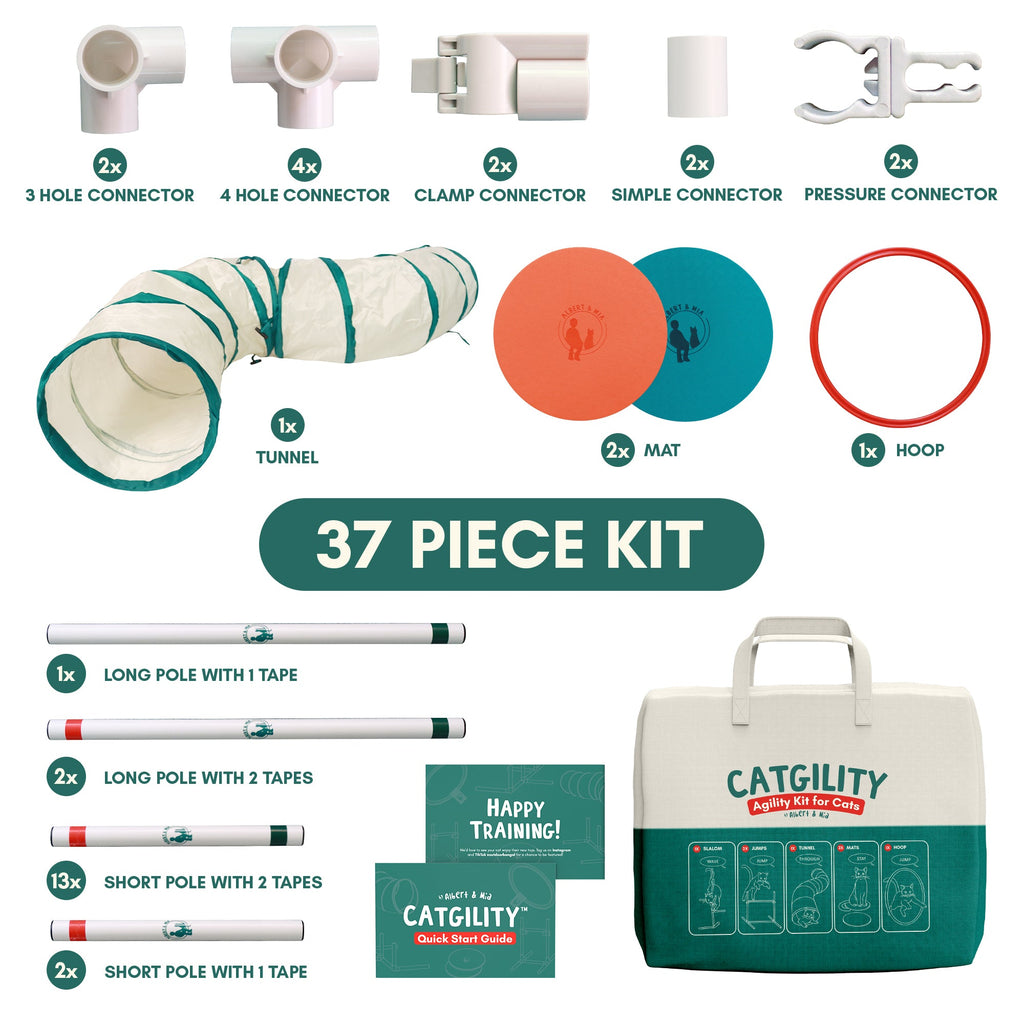 Catgility™ Agility Kit for Cats - OutdoorBengal