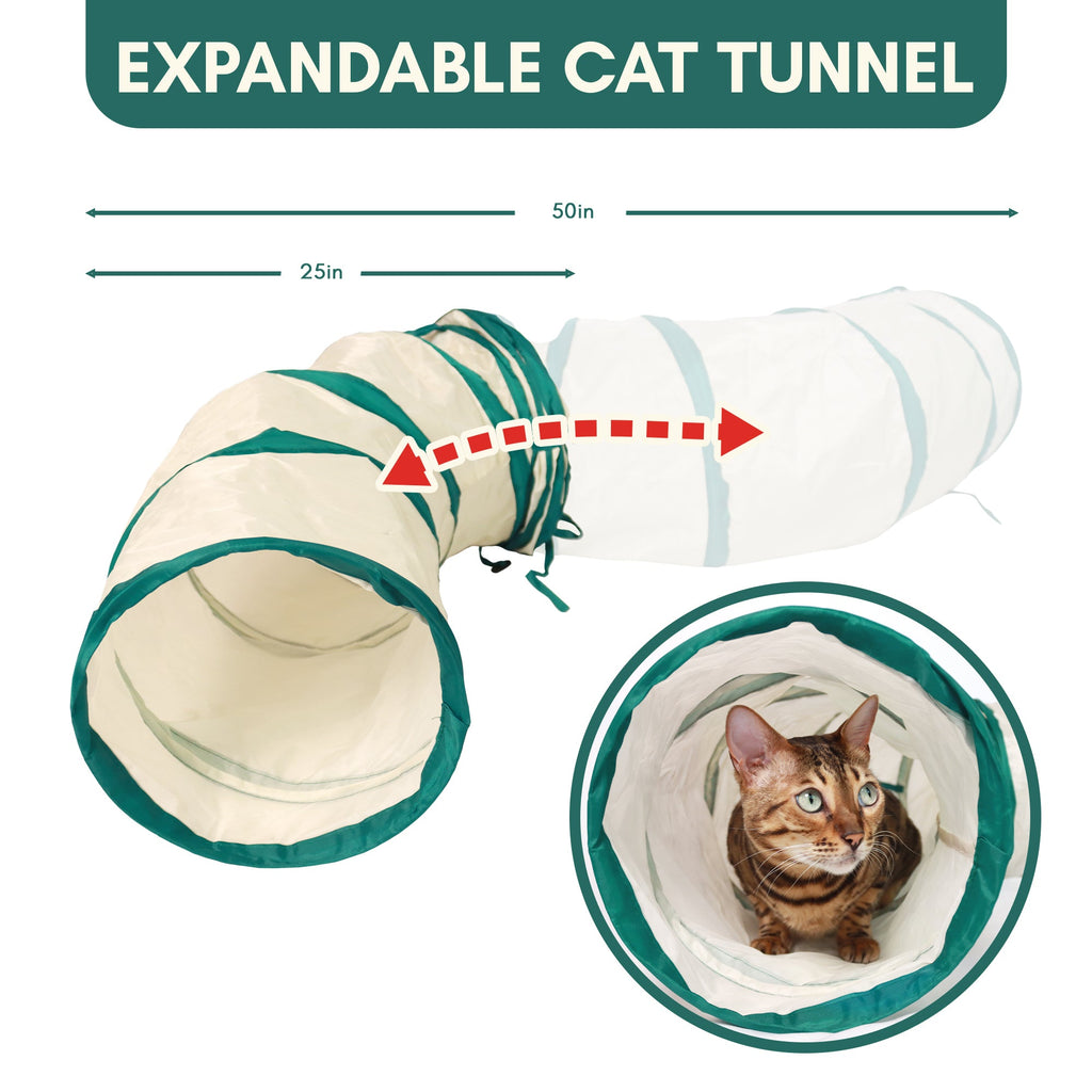 Catgility™ Agility Kit for Cats - OutdoorBengal