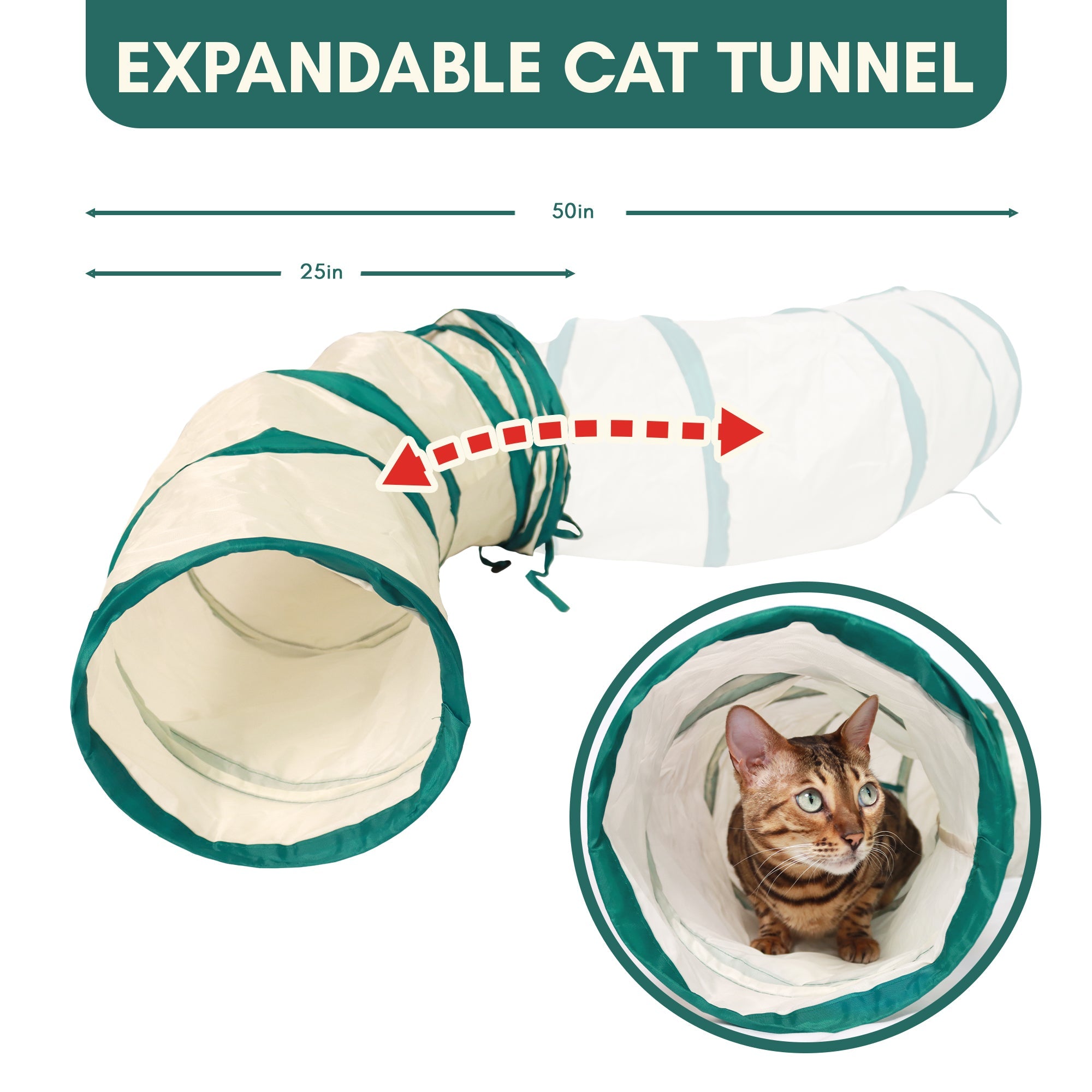 Catgility™ Agility Kit for Cats - OutdoorBengal