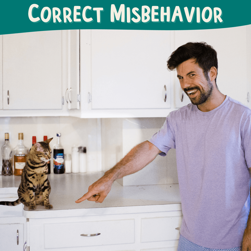 Clicker Training Starter Kit - OutdoorBengal