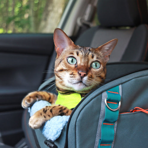 Dakar™ 2in1 Car Seat and Carrier - OutdoorBengal