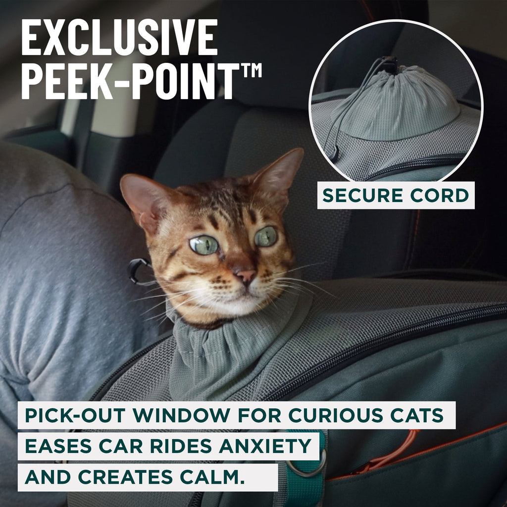 Dakar™ 2in1 Car Seat and Carrier - OutdoorBengal