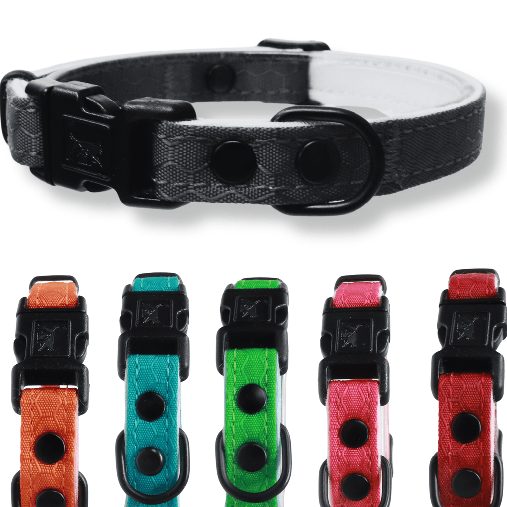 Durable Break - Away Cat Collar - OutdoorBengal