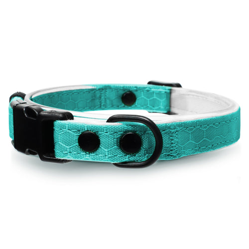 Durable Break-Away Cat Collar - OutdoorBengal