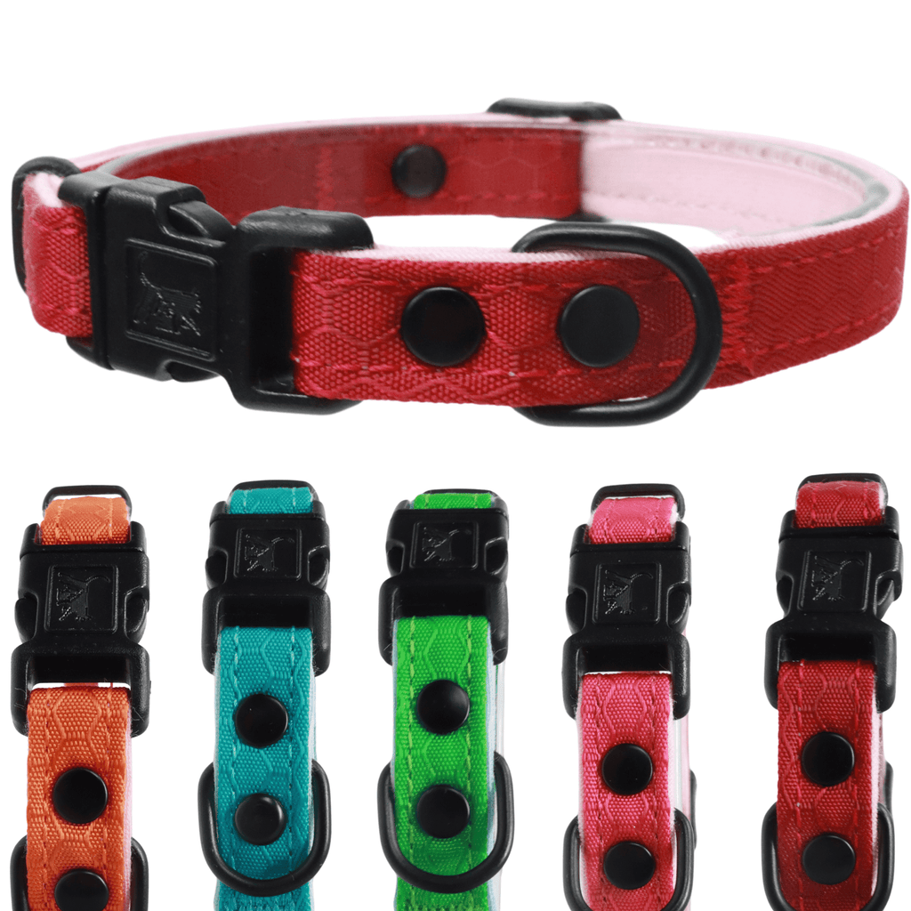 Durable Break - Away Cat Collar - OutdoorBengal