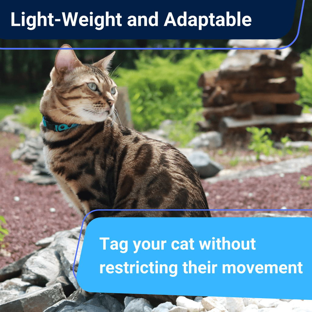 Durable Break - Away Cat Collar - OutdoorBengal