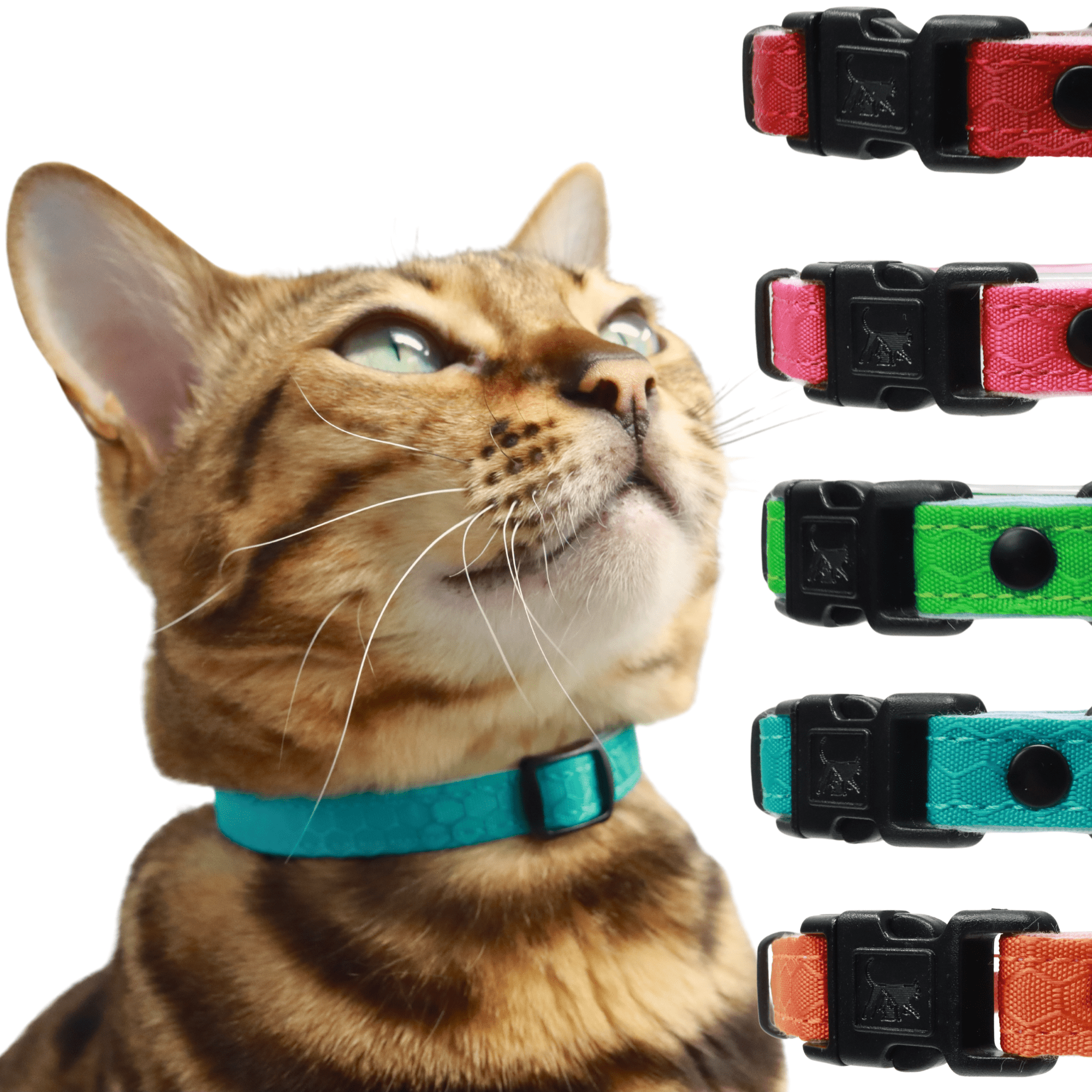 Durable Break - Away Cat Collar - OutdoorBengal