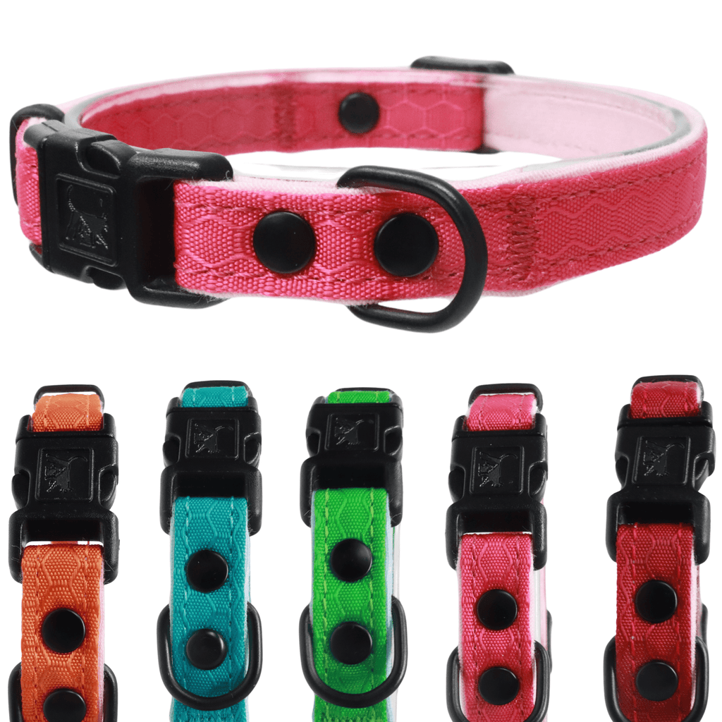 Durable Break - Away Cat Collar - OutdoorBengal