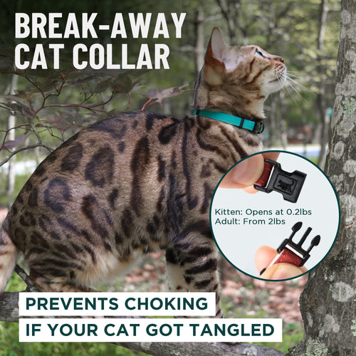 Durable Break - Away Cat Collar - OutdoorBengal