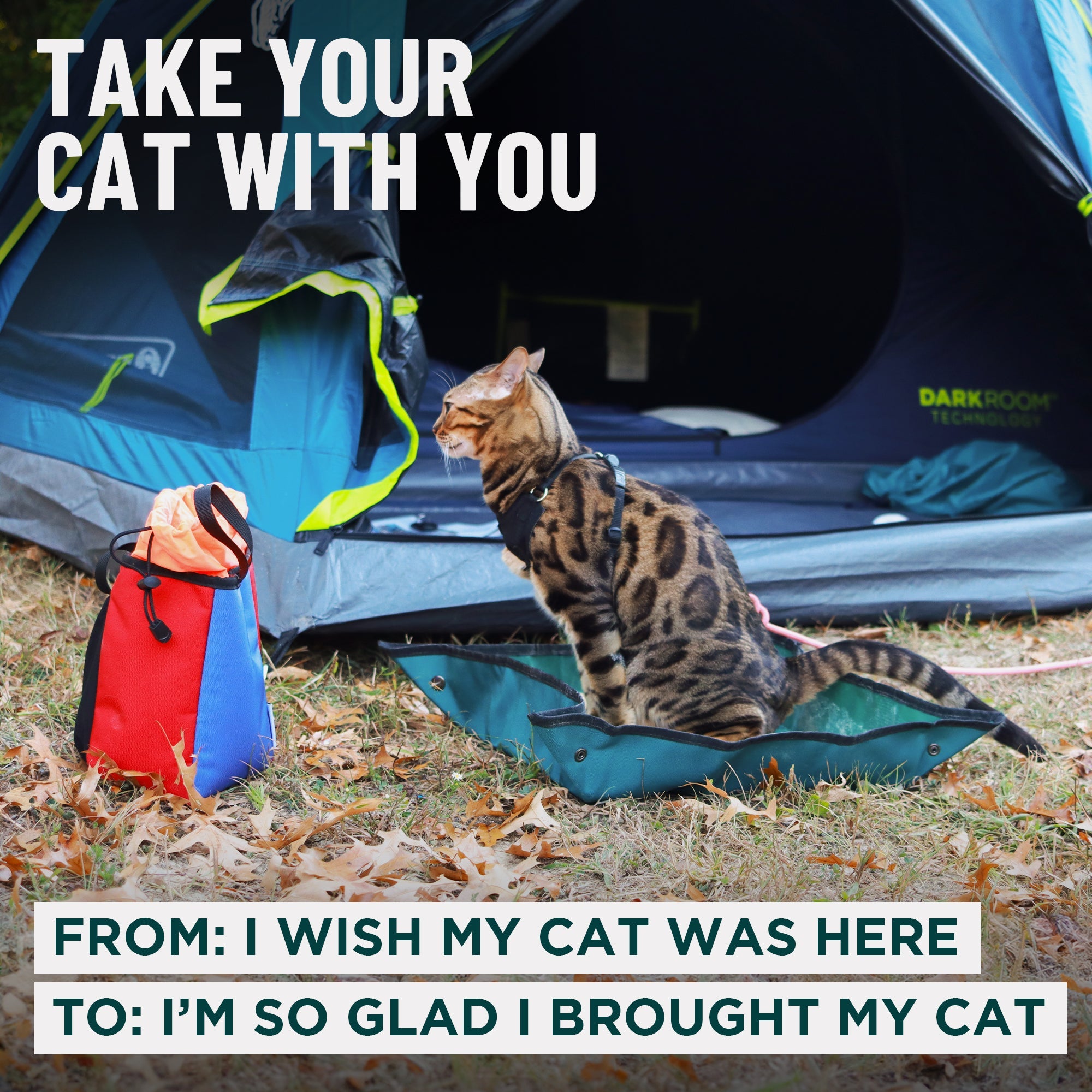 Go Litter™ Travel Litter Box - OutdoorBengal