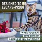 Houdini™ Escape Proof Cat Harness - OutdoorBengal