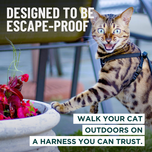 Houdini™ Escape Proof Cat Harness - OutdoorBengal